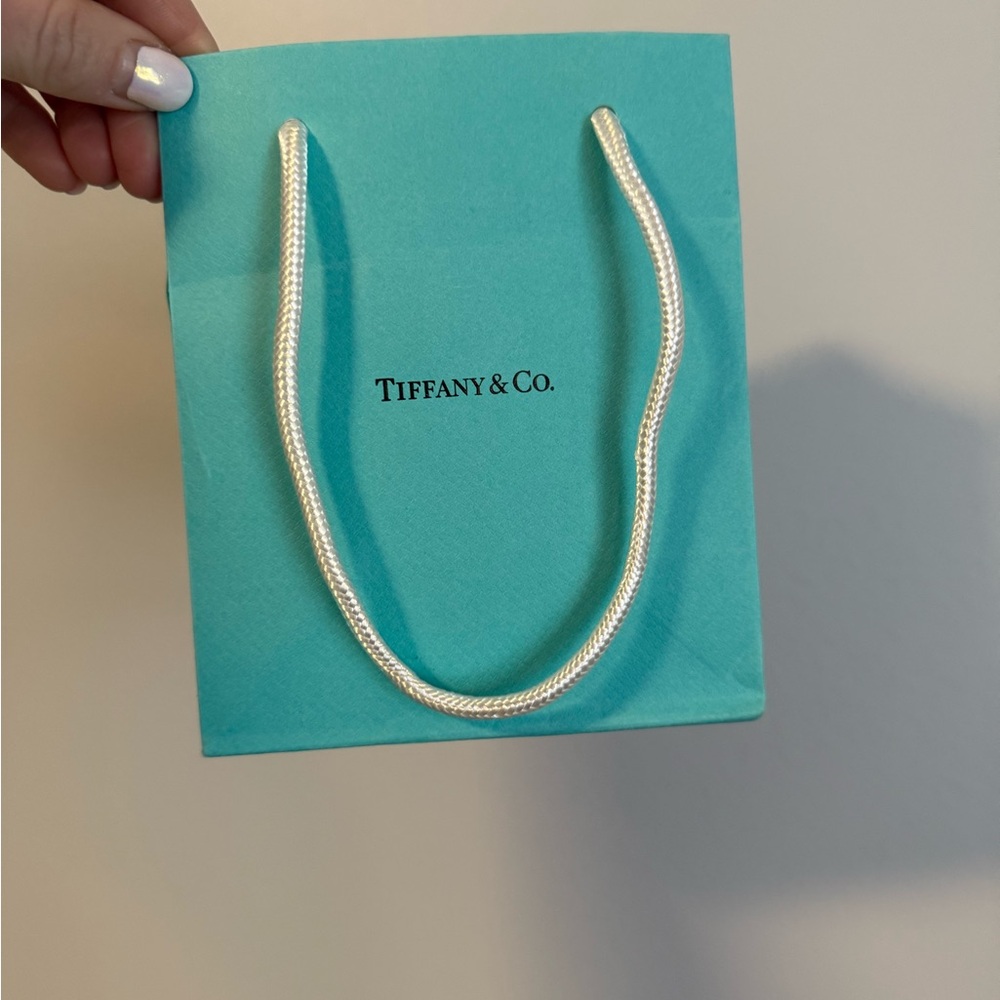 Tiffany & Co. Blue and White Bag